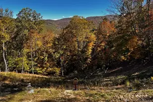 174 Winter Park Trail, Beech Mountain, NC 28604 - Photo 38