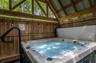 110 Forest Run, Sugar Mountain, NC 28604 - Photo 4