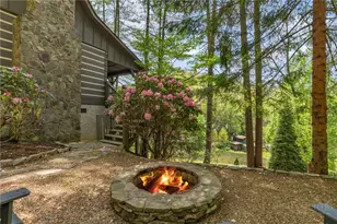 236 Turkeyfoot Ln, Vilas, NC 28692 - Photo 10