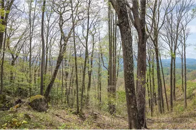 S105 Talon Trail, Banner Elk, NC 28604 - Photo 4