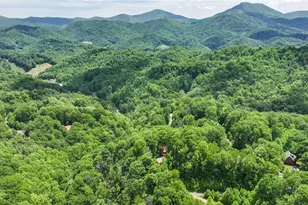 1645 Carefree Cove, Zionville, NC 28698 - Photo 50