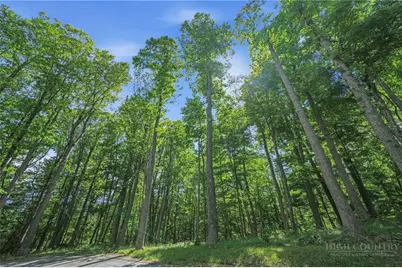 Lot 46 Poplar Forest Drive, Boone, NC 28607 - Photo 20