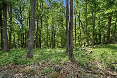 Lot 46 Poplar Forest Drive, Boone, NC 28604 - Photo 14