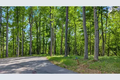 Lot 46 Poplar Forest Drive, Boone, NC 28607 - Photo 12