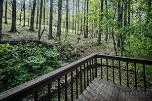 460 Harley Perry Rd, Zionville, NC 28698 - Photo 36