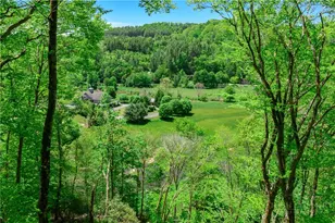 826 River Ridge Rd, Boone, NC 28607 - Photo 50