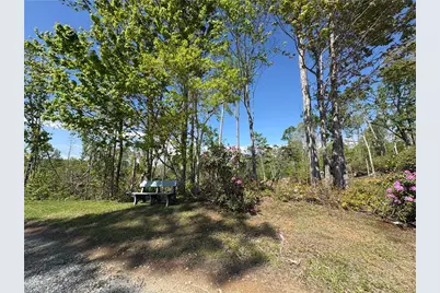 Lot #41 Lost Ridge Trail, Vilas, NC 28692 - Photo 4