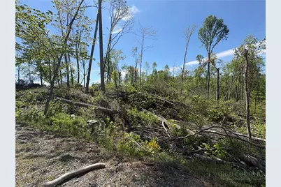 Lot #41 Lost Ridge Trail, Vilas, NC 28692 - Photo 6