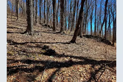 Lot 78 Elk Creek Mountain Parkway, Todd, NC 28684 - Photo 10
