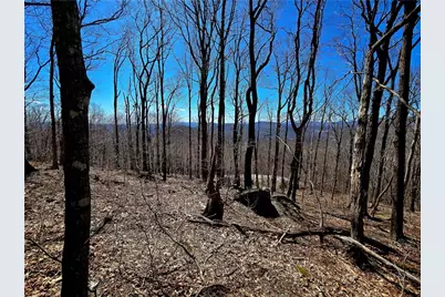 Lot 78 Elk Creek Mountain Parkway, Todd, NC 28684 - Photo 1