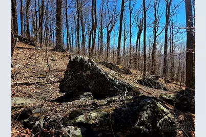 Lot 78 Elk Creek Mountain Parkway, Todd, NC 28684 - Photo 12