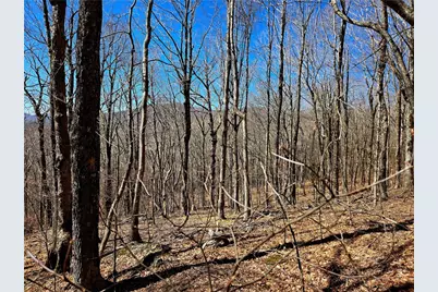 Lot 78 Elk Creek Mountain Parkway, Todd, NC 28684 - Photo 16