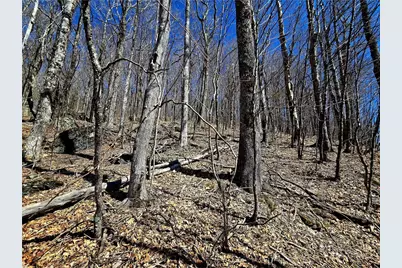 Lot 78 Elk Creek Mountain Parkway, Todd, NC 28684 - Photo 18