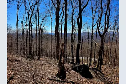 Lot 78 Elk Creek Mountain Parkway, Todd, NC 28684 - Photo 4