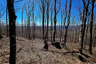 Lot 78 Elk Creek Mountain Pkwy, Todd, NC 28684 - Photo 1