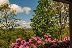 317 Wilderness Trail, Sparta, NC 28675 - Photo 40