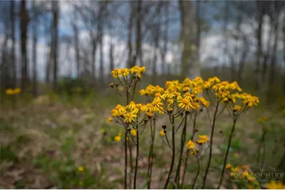Lot 14 Great Sky Drive, Banner Elk, NC 28604 - Photo 16