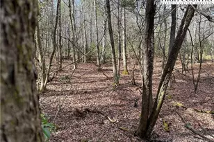 Lot 23 Holly Run, Glade Valley, NC 28627 - Photo 1