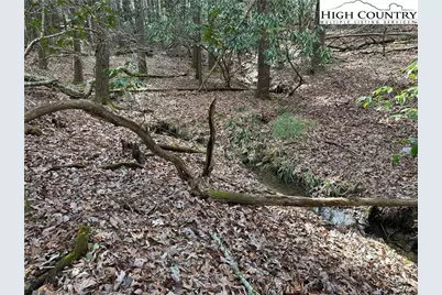 Lot 23 Holly Run, Glade Valley, NC 28627 - Photo 2