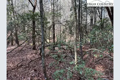 Lot 23 Holly Run, Glade Valley, NC 28627 - Photo 8