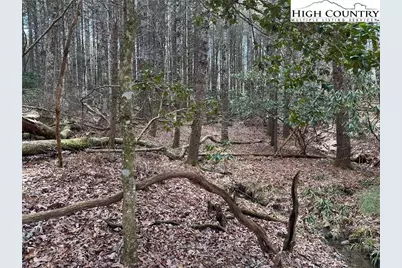 Lot 23 Holly Run, Glade Valley, NC 28627 - Photo 4