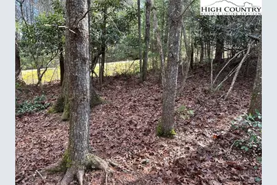 Lot 23 Holly Run, Glade Valley, NC 28627 - Photo 6
