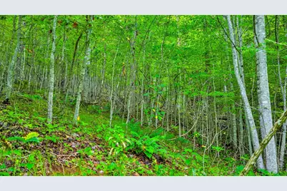 Tbd McKinley Ridge Road, Lansing, NC 28643 - Photo 2