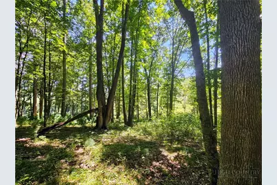 211 Arthur G Caudill Rd, West Jefferson, NC 28694 - Photo 38