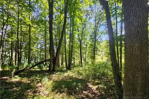 211 Arthur G Caudill Rd, West Jefferson, NC 28694 - Photo 38