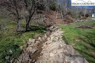 344 & 348 Tumbling Brook Dr, Banner Elk, NC 28604 - Photo 28