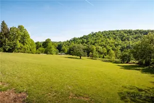 466 Stony Frk Rd, Deep Gap, NC 28618 - Photo 6