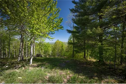 53 Eagle Creek Trail, Banner Elk, NC 28604 - Photo 12