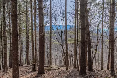 8 and 9 Haven Ridge Road, Lansing, NC 28643 - Photo 2