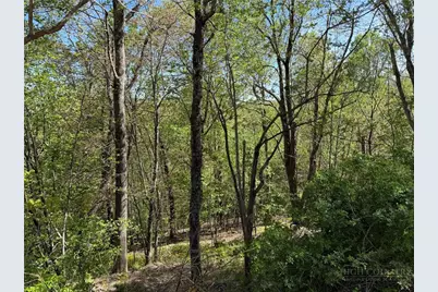 Tbd Ski Mountain Road, Blowing Rock, NC 28605 - Photo 6
