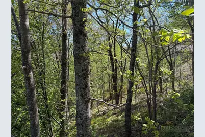Tbd Ski Mountain Road, Blowing Rock, NC 28605 - Photo 8
