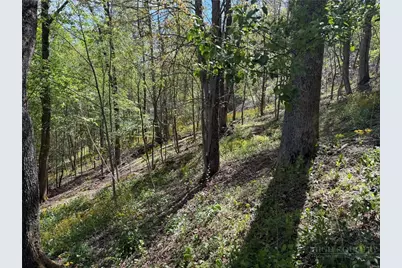 Tbd Ski Mountain Road, Blowing Rock, NC 28605 - Photo 4