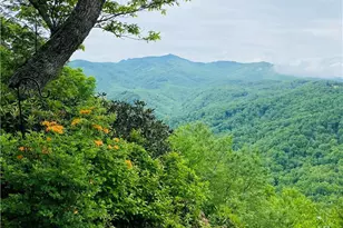 1008 Old Johns River Rd, Blowing Rock, NC 28605 - Photo 40