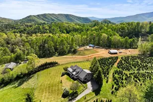 121 Shady Oaks Ln, Newland, NC 28657 - Photo 42