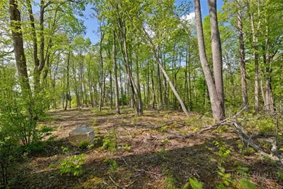 576 Eagle Springs Trail, Banner Elk, NC 28604 - Photo 44