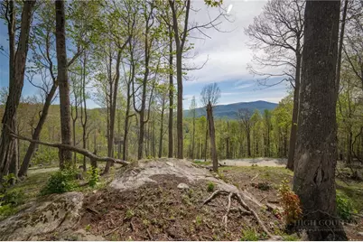 140 Old Forge Trail, Elk Park, NC 28622 - Photo 2