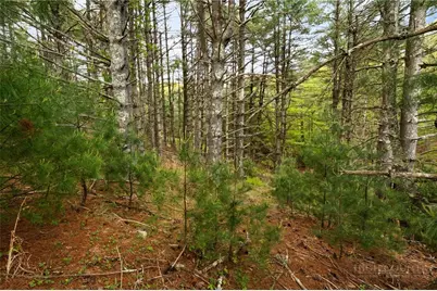 Lot 14 Camp View Trail, Glendale Springs, NC 28629 - Photo 10
