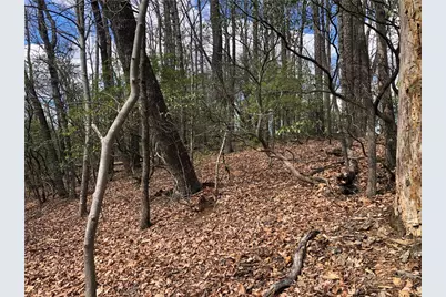 Lot 21 Bobcat Mountain Road, Purlear, NC 28665 - Photo 14