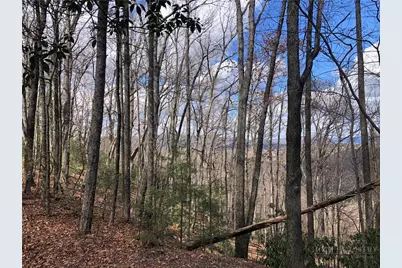 Lot 21 Bobcat Mountain Road, Purlear, NC 28665 - Photo 20