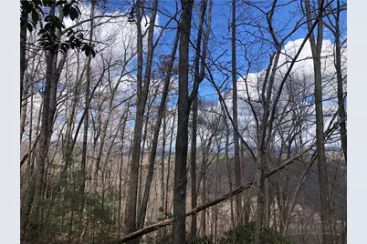 Lot 21 Bobcat Mountain Road, Purlear, NC 28665 - Photo 4