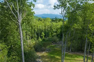 226 Springwinds Dr, Banner Elk, NC 28604 - Photo 2
