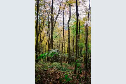 Lot 35 Tynecastle Drive, Banner Elk, NC 28604 - Photo 8
