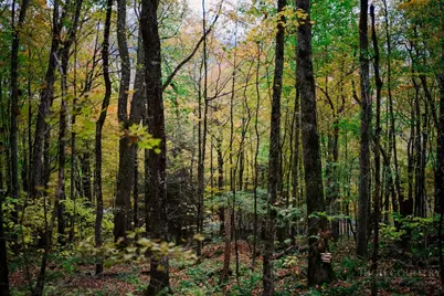 Lot 35 Tynecastle Drive, Banner Elk, NC 28604 - Photo 20