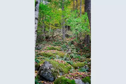 Lot 35 Tynecastle Drive, Banner Elk, NC 28604 - Photo 24