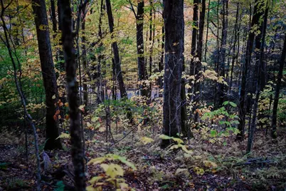 Lot 35 Tynecastle Drive, Banner Elk, NC 28604 - Photo 14