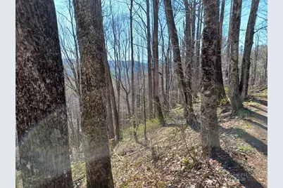 Tbd Ed Vanover Road, Creston, NC 28615 - Photo 4
